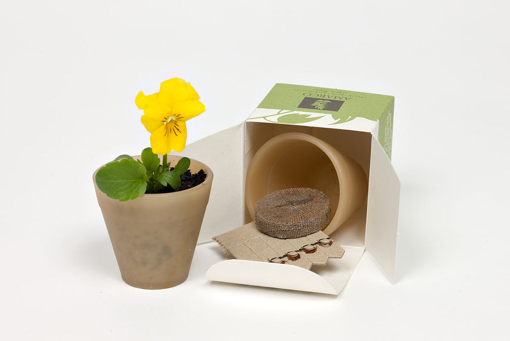 Biodegradable Seed Pots with Custom Branding